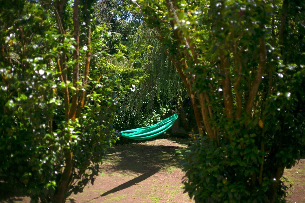 Villa Varzea - Garden Suite Dış mekan fotoğraf